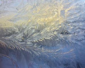 frost