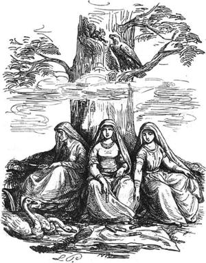 Nornir7