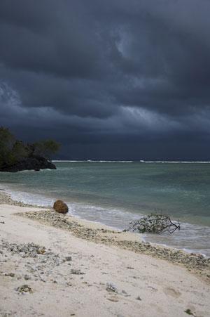 The Beach